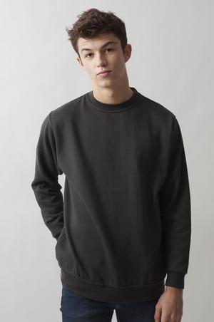 Radsow Apparel - Paris Crew Neck sweatshirt til mænd